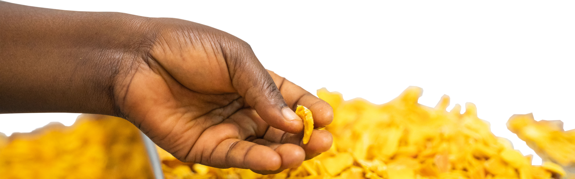 Hand holding a dried mango slice