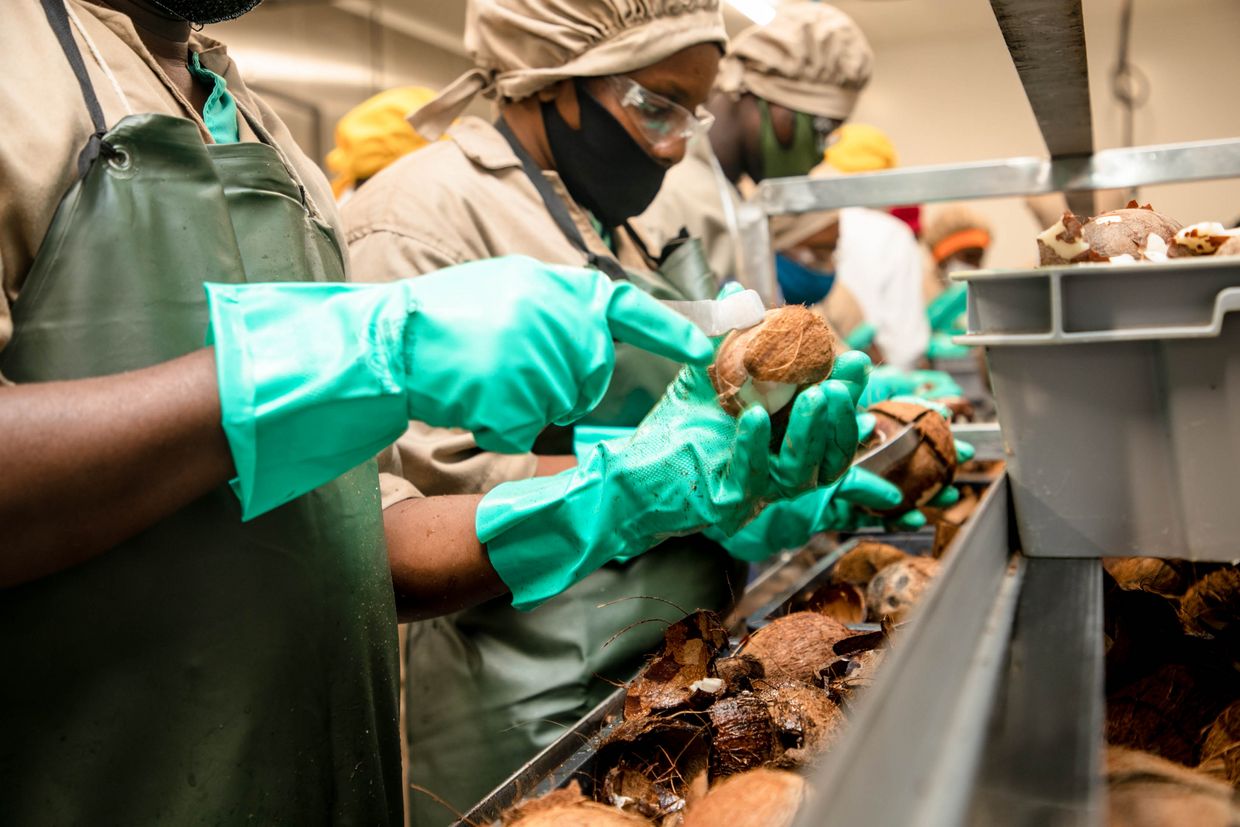 Processing of coconuts in the HPW Ivory Coast