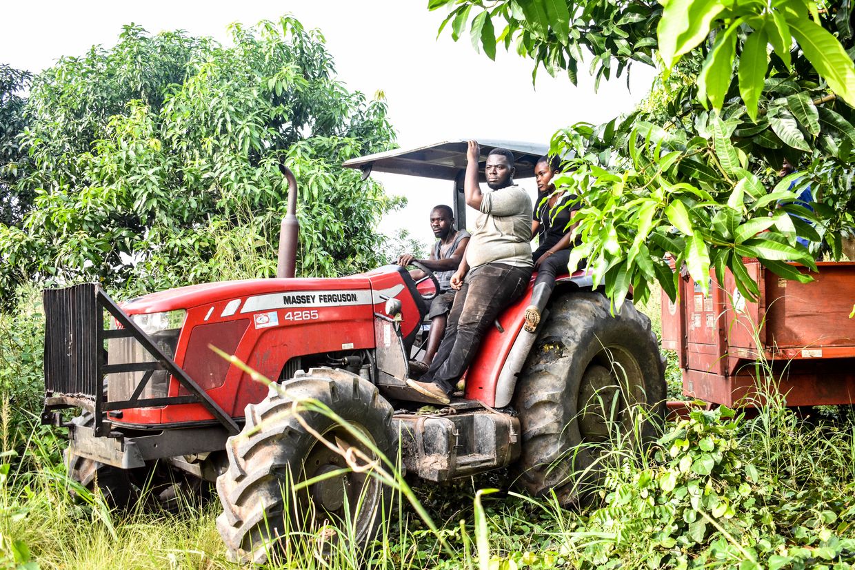 Farmers drive a tractor through the field