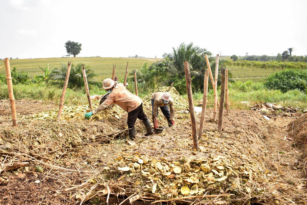 Workers at the composting plant in Adeiso