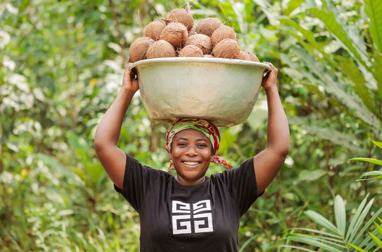 Ferme de noix de coco au Ghana