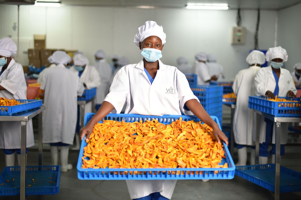 Kenyan worker holding a pallet of dried mango