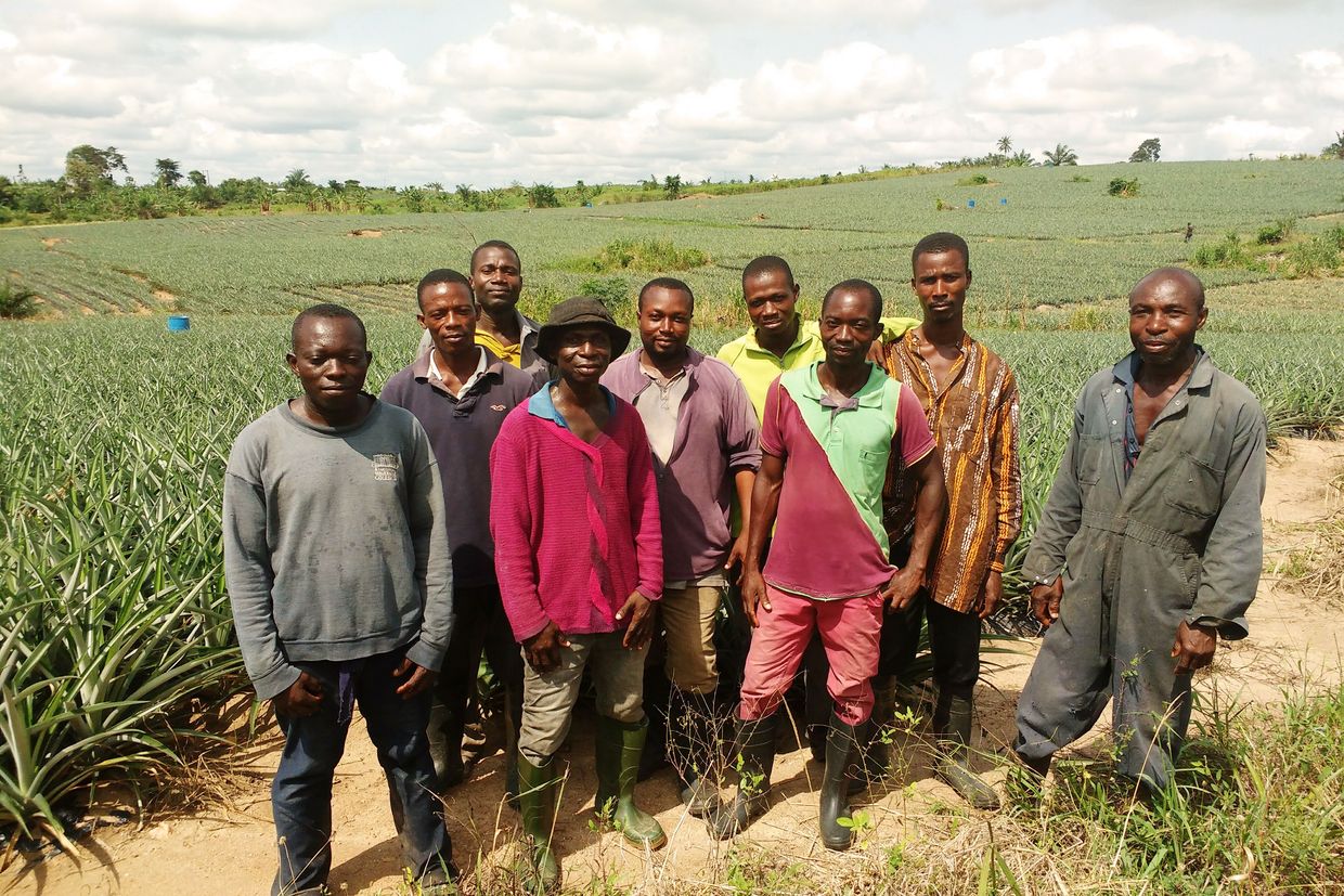 Group picture of pineapple farmers