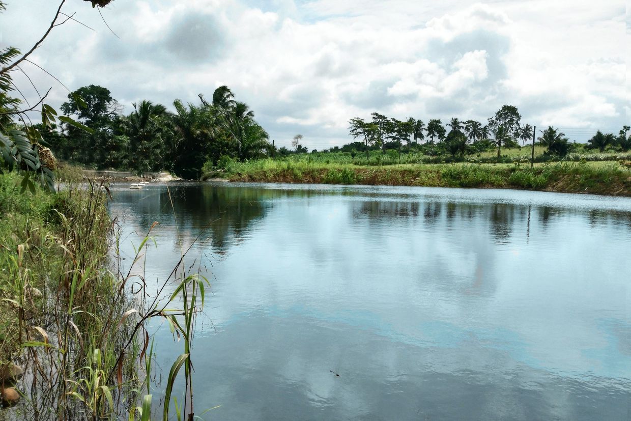 Photo of the water treatment plant in Adeiso